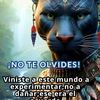 celiaaguilar88