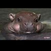 rowanmohamed2_0