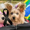 marcianaalemanha