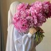 dryasmin.6