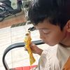 orangnyantai