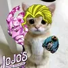 why_not56545