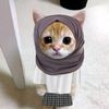 qilaa_342