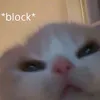 ptmt_2829