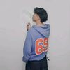 arssdre6