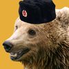 tucompabear
