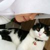 ainun7238