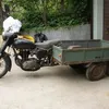 winkielpacha113