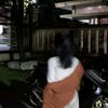 nazma_2792