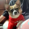Mean girl do cơ địa
