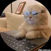 blackfuor82