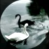 s.._rtw