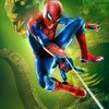 amyzing_spiderboy