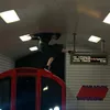 clearlyfinley