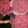shaymaaghaly145