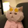 thaovy__24