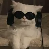 ianfrancis304