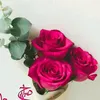 user886209525365