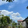 tramy3609