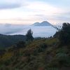 kemungkinan_iya