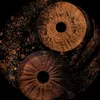 abrill_2011