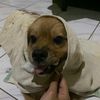 marlonggg9999
