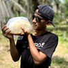 Profil Alam
