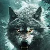 filiadiaboli ♡ A.B.🥰🐺