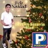 berclin.saravia.b