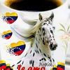 culebra611