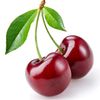 esssee.com