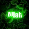mahmoudwaheed950