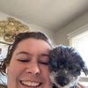 coloradospringspetsitter
