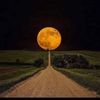 fahad99502