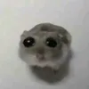 nonetwg