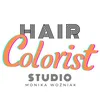 hair.colorist.art