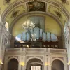 organistazkolegiaty12