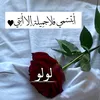لولو❤
