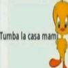 tutsipop