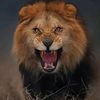 loga.king.of.the.w