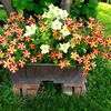 southwhitleyflowerlady