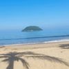 linaresalejandro38