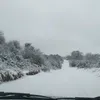 nosvero