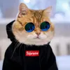 punyamuu36
