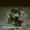 userm04dktrkk0