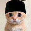 gallllll.__