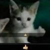 itspuppet22