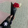 mero_827920