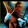 user39046826150815