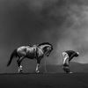 abeed142